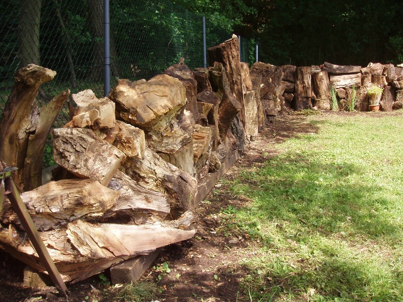 Bild 011-Holz