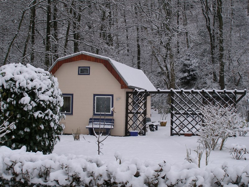 Bild 033-Winter09