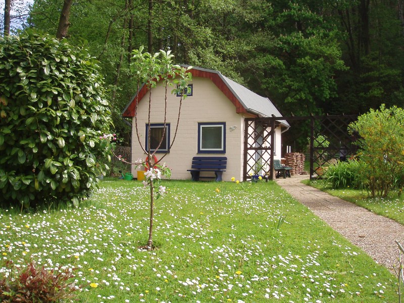 Bild 046-Fruehling10