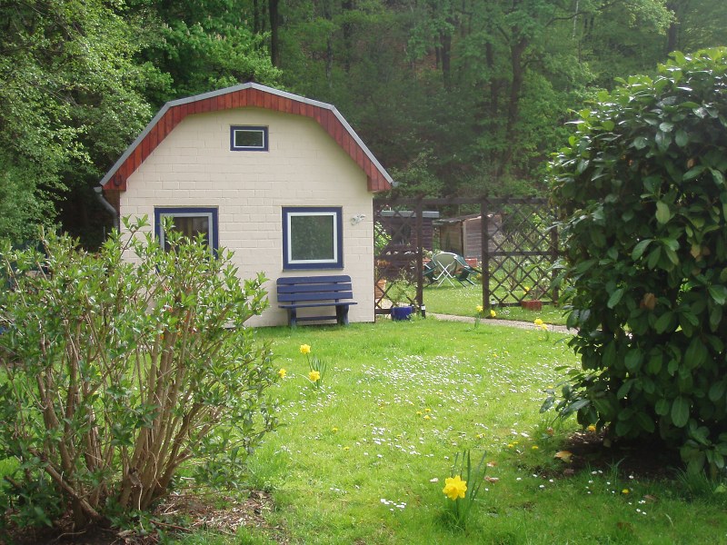 Bild 047-Fruehling10