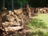 Bild 011-Holz